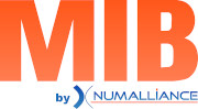 Logo Mib Hydro